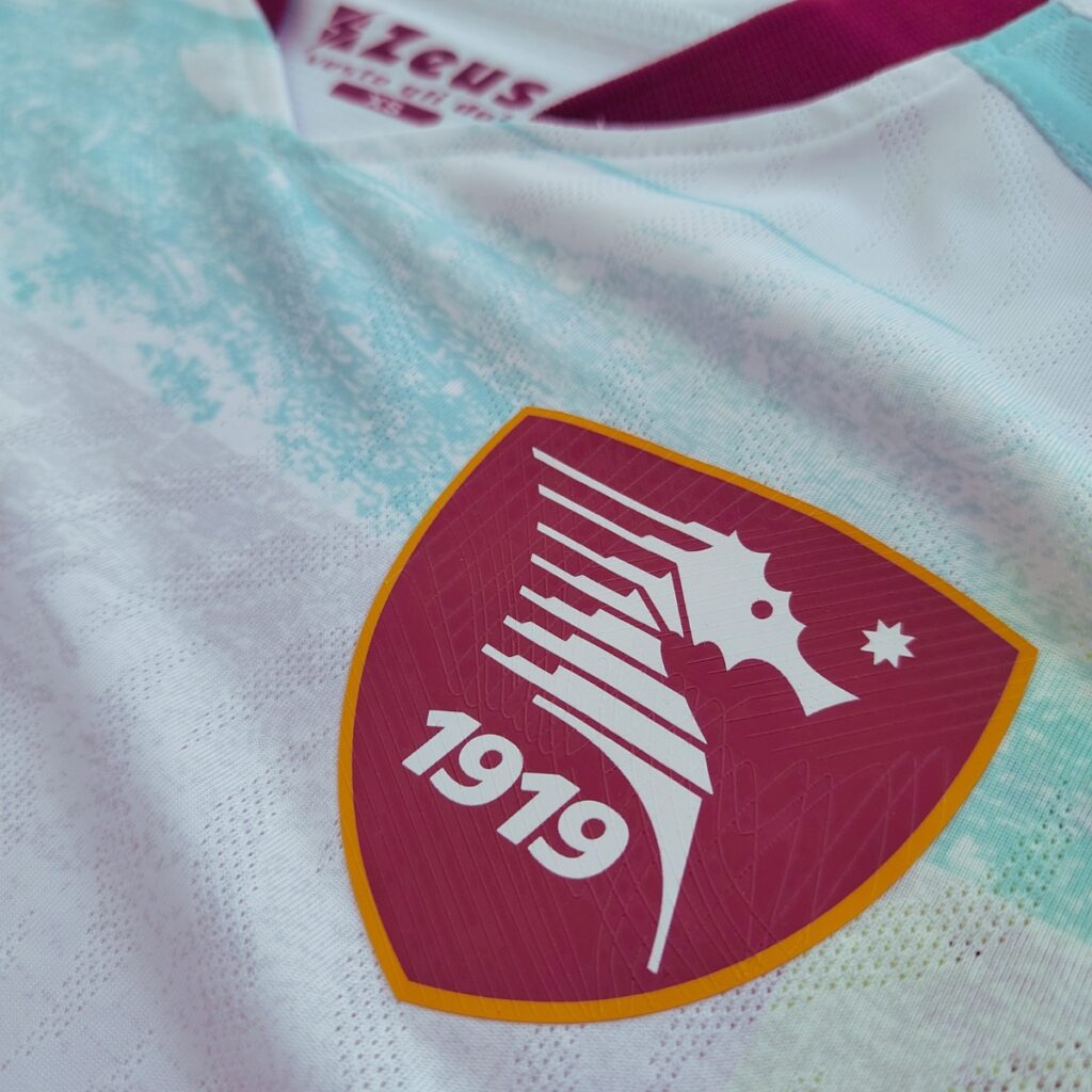 Zoom sur le blason du maillot.